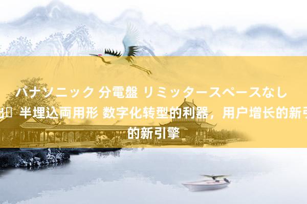 パナソニック 分電盤 リミッタースペースなし 露出・半埋込両用形 数字化转型的利器，用户增长的新引擎