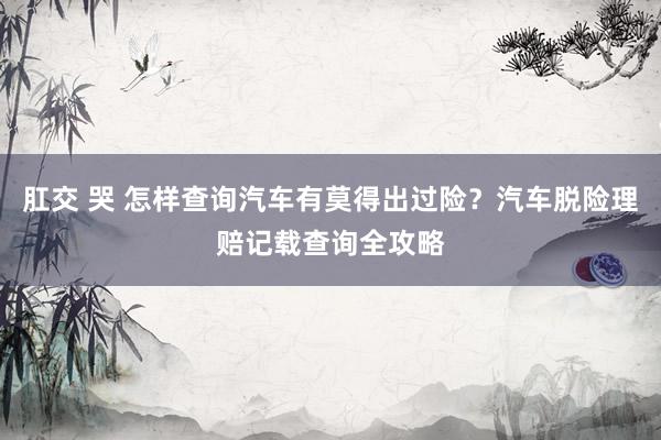 肛交 哭 怎样查询汽车有莫得出过险？汽车脱险理赔记载查询全攻略
