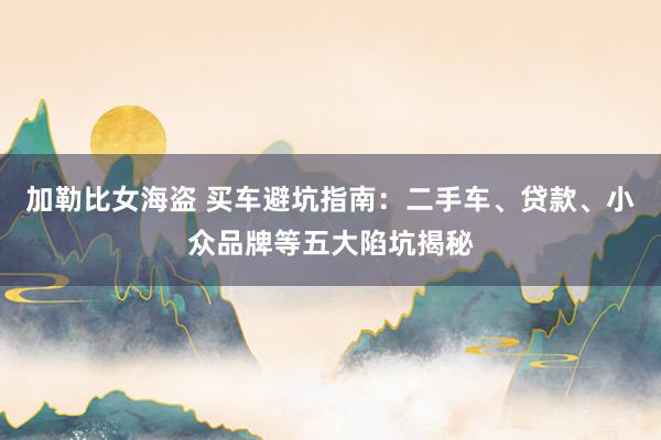 加勒比女海盗 买车避坑指南：二手车、贷款、小众品牌等五大陷坑揭秘