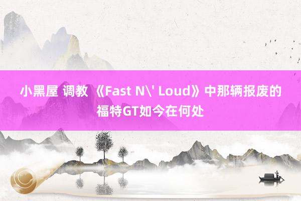 小黑屋 调教 《Fast N' Loud》中那辆报废的福特GT如今在何处