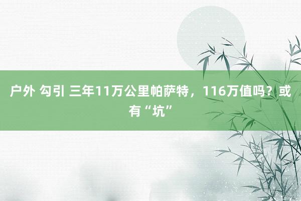 户外 勾引 三年11万公里帕萨特，116万值吗？或有“坑”