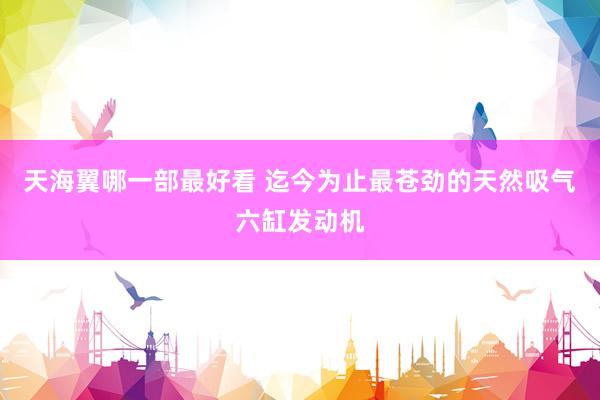 天海翼哪一部最好看 迄今为止最苍劲的天然吸气六缸发动机