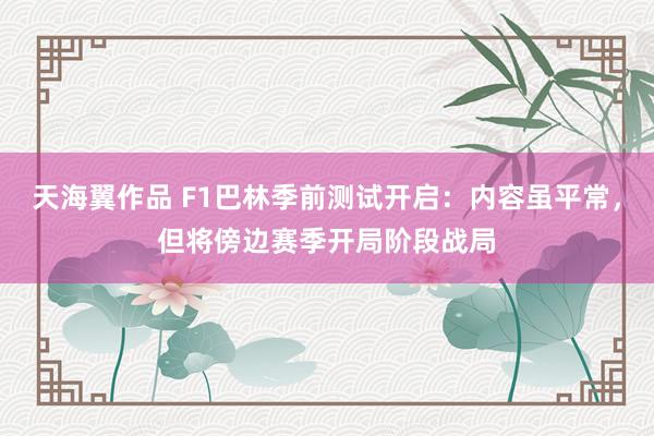 天海翼作品 F1巴林季前测试开启：内容虽平常，但将傍边赛季开局阶段战局
