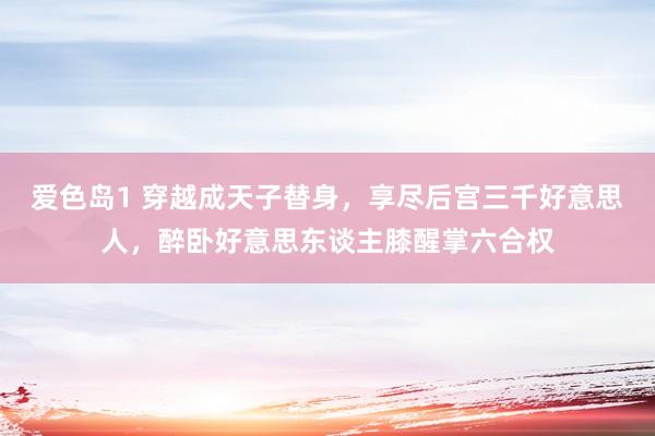 爱色岛1 穿越成天子替身，享尽后宫三千好意思人，醉卧好意思东谈主膝醒掌六合权