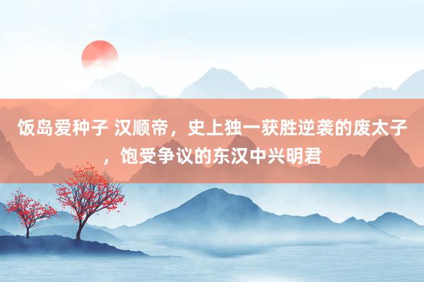 饭岛爱种子 汉顺帝，史上独一获胜逆袭的废太子，饱受争议的东汉中兴明君