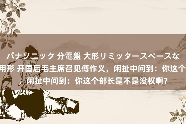 パナソニック 分電盤 大形リミッタースペースなし 露出・半埋込両用形 开国后毛主席召见傅作义，闲扯中问到：你这个部长是不是没权啊？