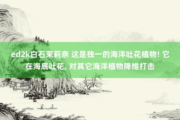 ed2k白石茉莉奈 这是独一的海洋吐花植物! 它在海底吐花, 对其它海洋植物降维打击