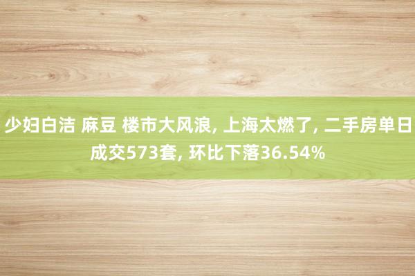 少妇白洁 麻豆 楼市大风浪, 上海太燃了, 二手房单日成交573套, 环比下落36.54%