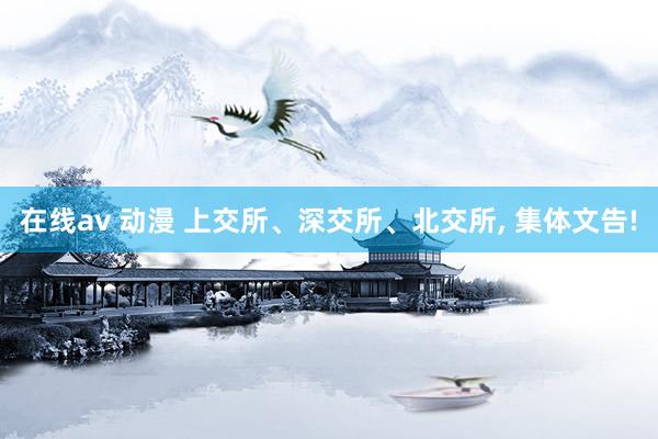 在线av 动漫 上交所、深交所、北交所, 集体文告!