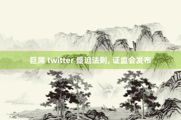 巨屌 twitter 蹙迫法则, 证监会发布