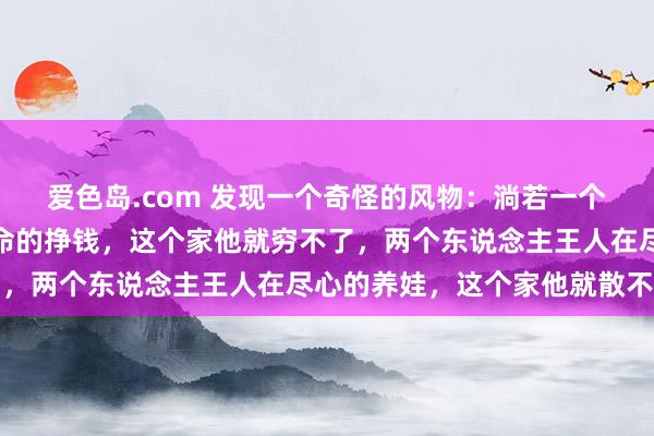 爱色岛.com 发现一个奇怪的风物：淌若一个家里，两口子王人在拚命的挣钱，这个家他就穷不了，两个东说念主王人在尽心的养娃，这个家他就散不了