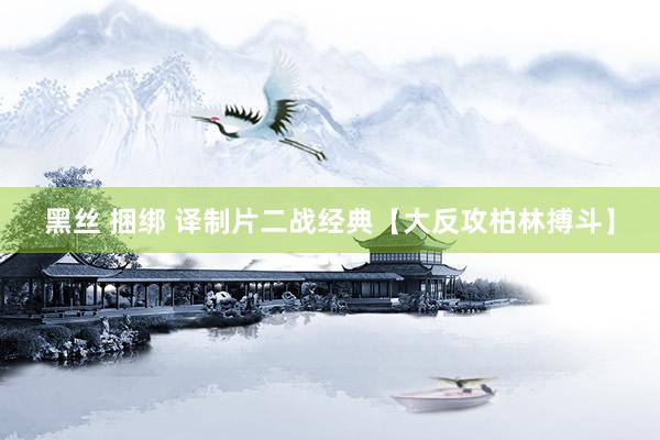 黑丝 捆绑 译制片二战经典【大反攻柏林搏斗】
