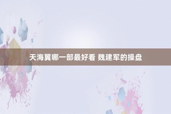 天海翼哪一部最好看 魏建军的操盘